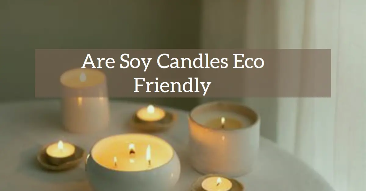 Are Soy Candles Eco Friendly? A Close Look at Their Sustainability