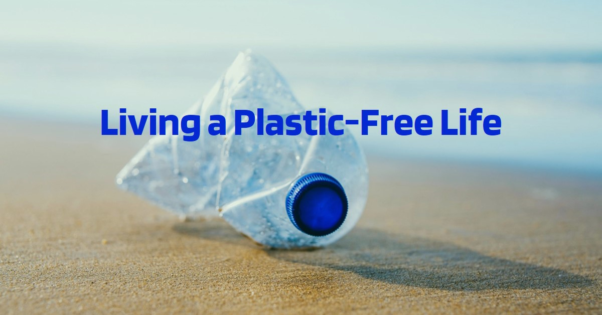 How to Live a Plastic-Free Life: The Ultimate Guide