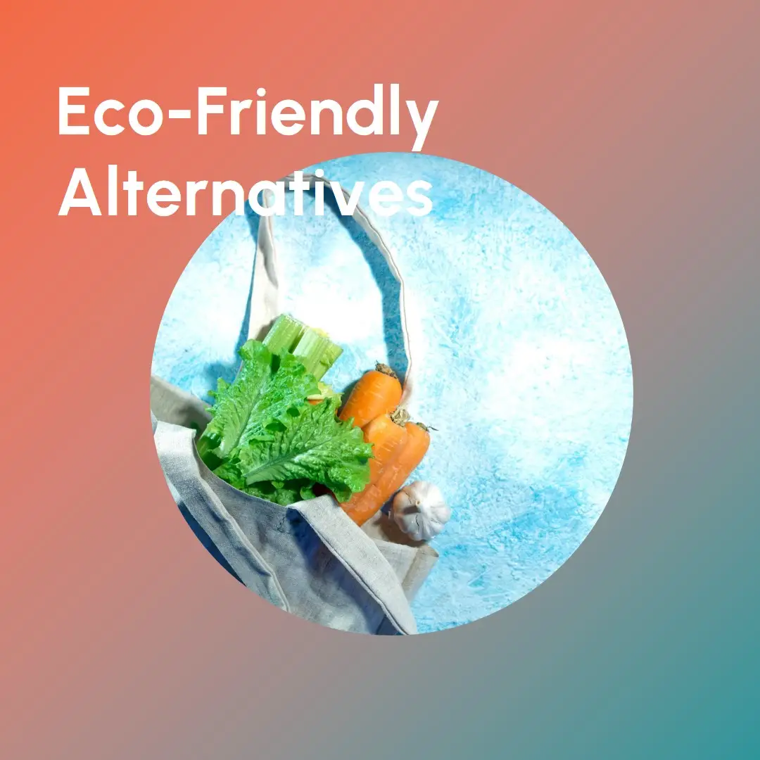Eco-Friendly Alternatives to Ziploc Bags