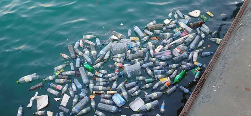 Plastic Bottle Waste Pollutes Oceans and Waterways